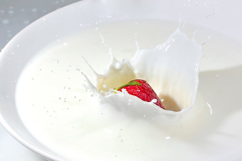 Gastronomic Tour Image